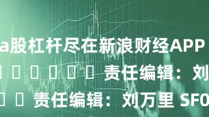 a股杠杆尽在新浪财经APP            						责任编辑：刘万里 SF014