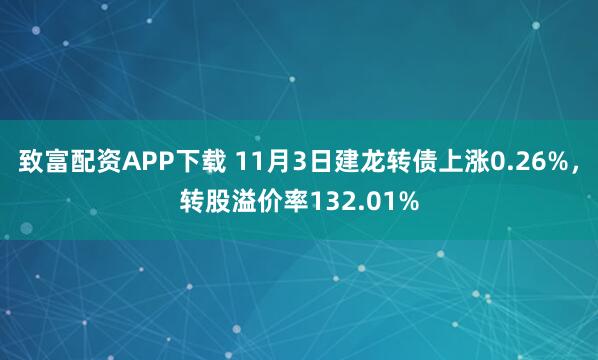 致富配资APP下载 11月3日建龙转债上涨0.26%，转股溢价率132.01%